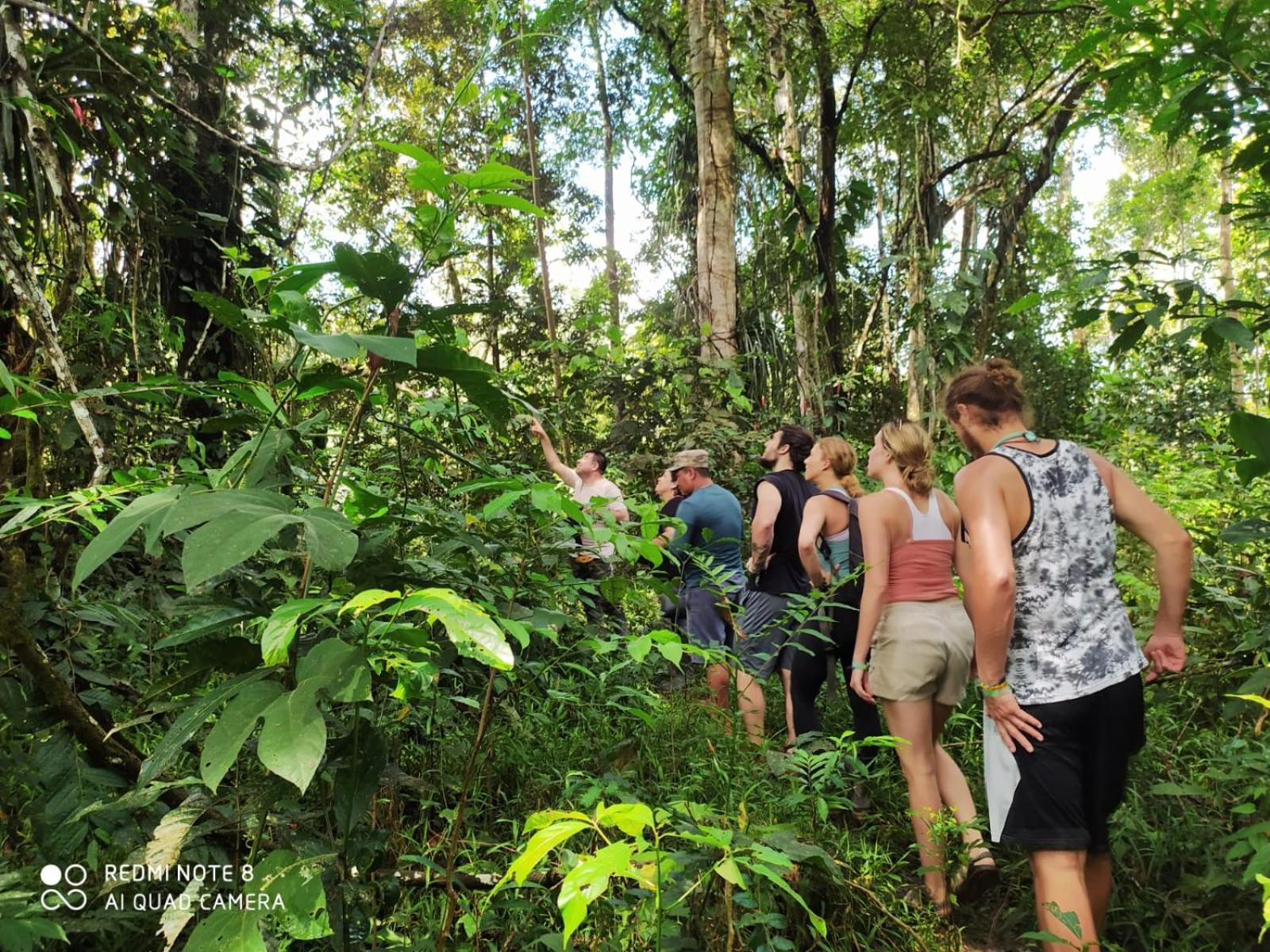 Jacamar Lodge Expeditions إكيتوس المظهر الخارجي الصورة